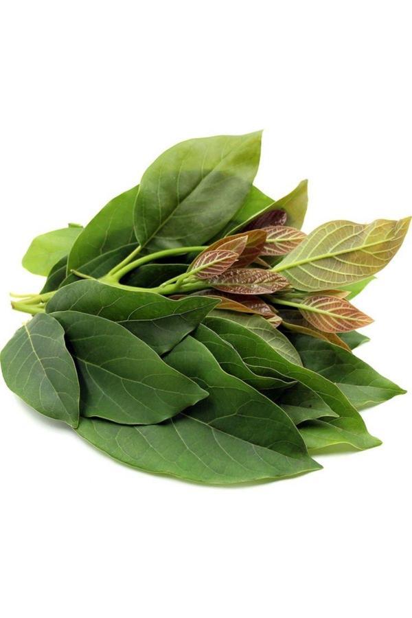 Dalından Tazecik Avokado Yaprağı 250 Gr - Image 1
