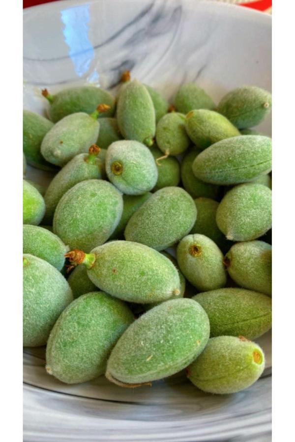 Dalından Tazecik Çağla Meyvesi ( 500 Gr) - Image 1