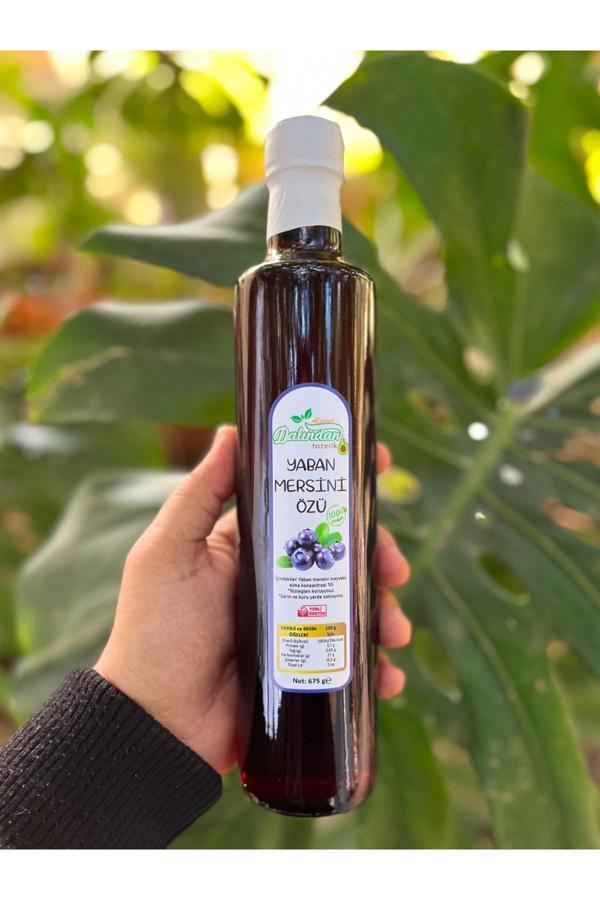 Dalından Tazecik Doğal Yaban Mersini Özü 700 Ml - Image 1