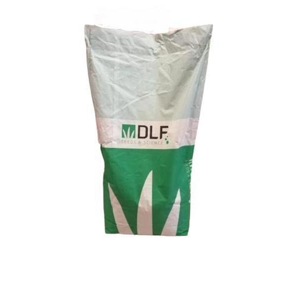 Fare Kulağı Tohumu-Dichondra Repens-1 kg - Image 1