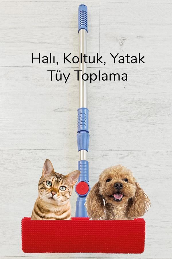 Kedi Köpek Sihirli Tüy Temizleme Fırçası 4 ü 1 Arada Döner Başlıklı - Image 1