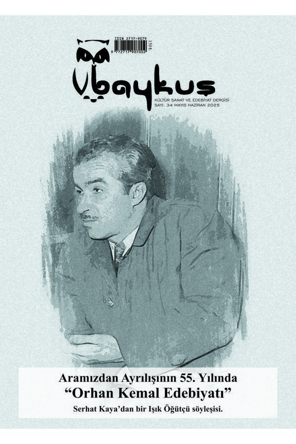 34. SAYI - Baykuş Yayınevi - Image 1