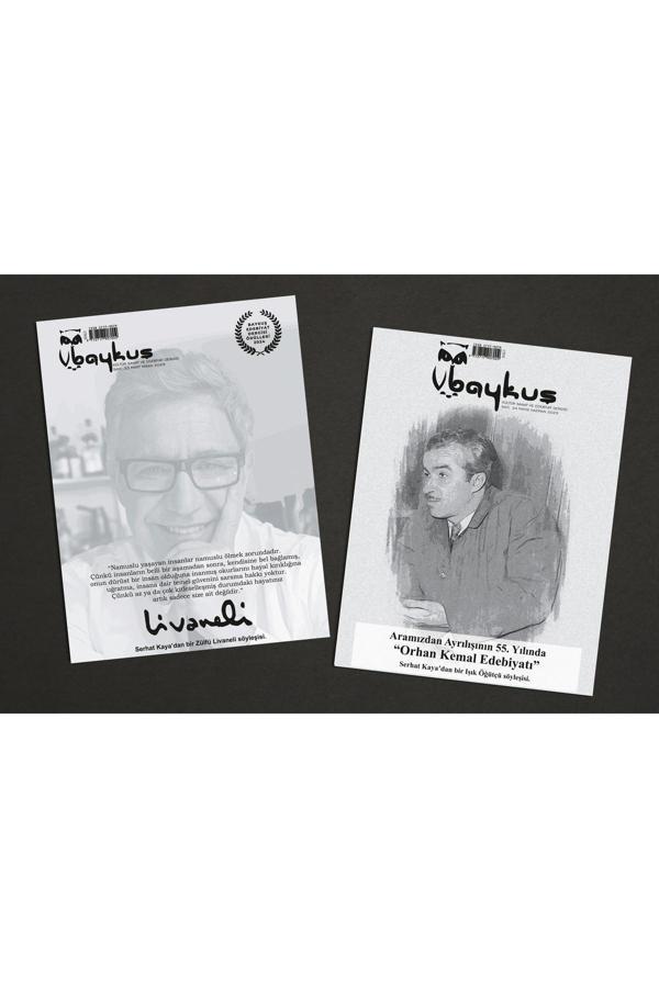 33 ve 34. SAYILAR - Baykuş Yayınevi - Image 1