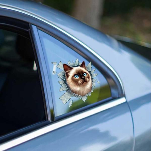 Fulcar Siamesse Araç Stickerı - Image 1