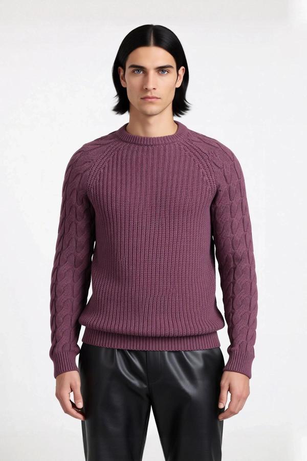 Erkek Regular Fit Bisiklet Yaka Saç Örgü Detaylı Triko Kazak Soğuk Günler İçin Rahatlık Sunar - Image 1