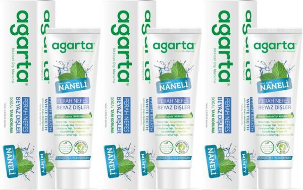 Agarta Doğal Diş Macunu 100ML Naneli (3 Lü Set) - Image 1