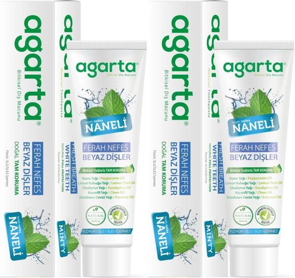 Agarta Doğal Diş Macunu 100ML Naneli (2 Li Set) - Image 1