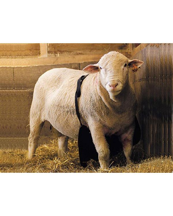 Aşım Önleyici Önlük uzun - Image 1