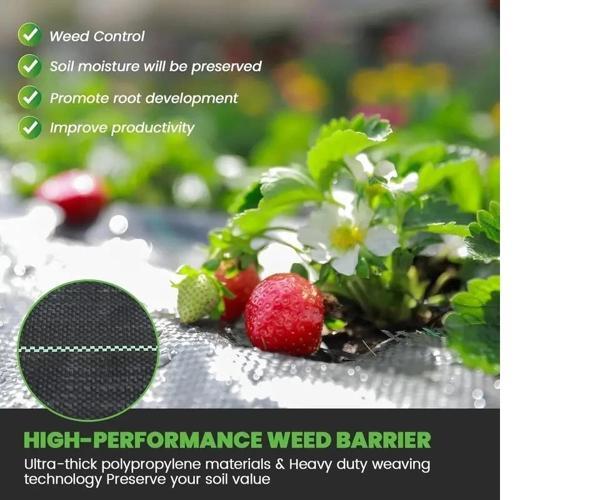 Yabani Ot Bariyer Matı - Image 1