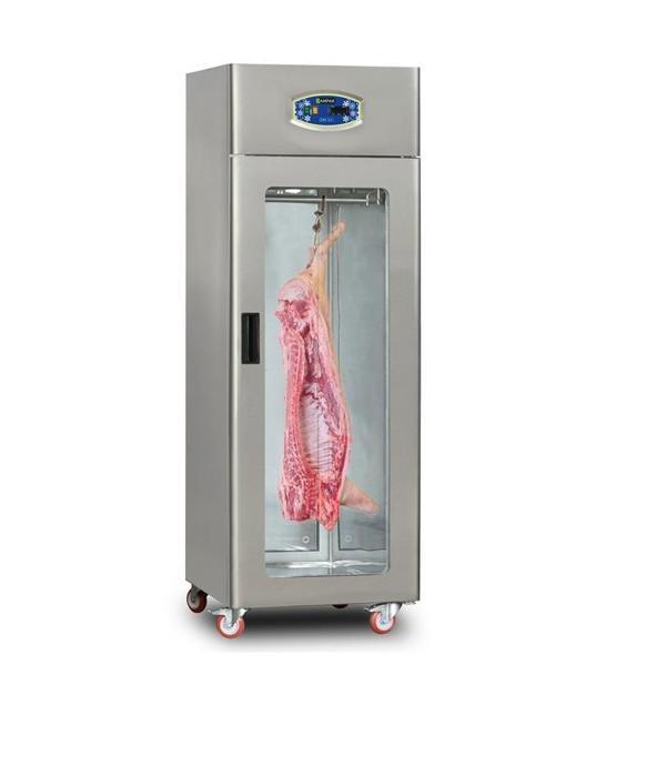 Dampak Tek Kapılı Dik Tip Statik Et Askılı Buzdolabı 602 Litre 69 x 82 x 210 (cm) - Image 1