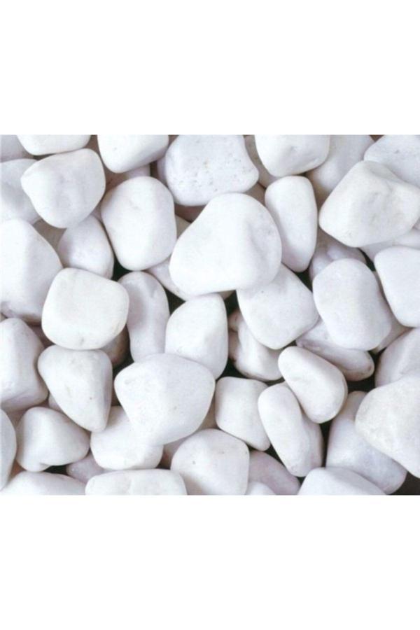 E&Z Doğal Taş Dolamit Taş 20 Kg 4-6 Cm Dolomit Dekoratif Peyzaj Süs Taşı - Image 1