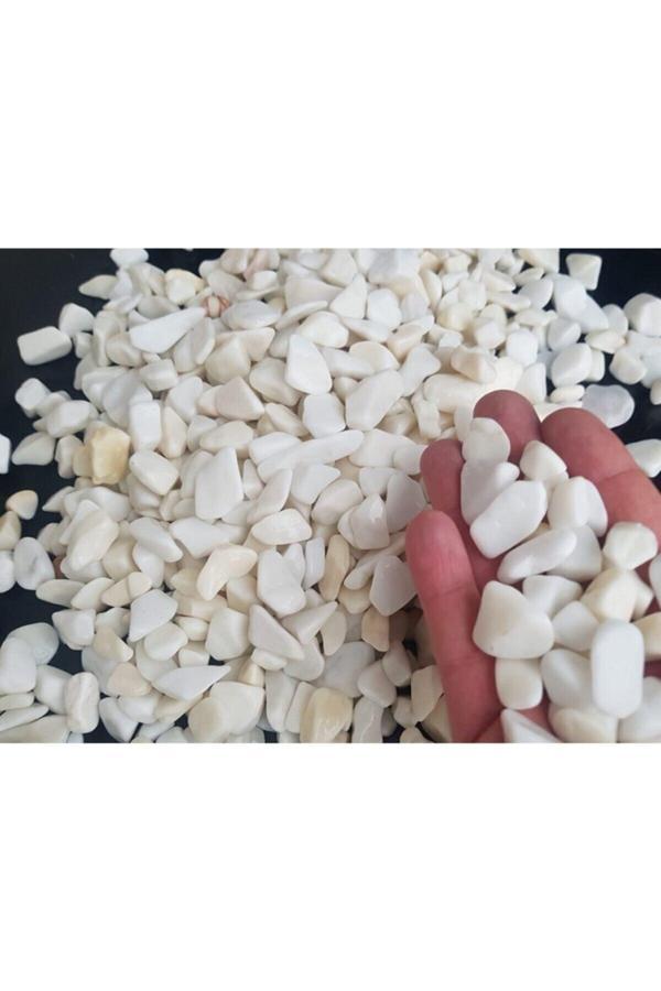 Doğalsan Tarım Beyaz Taş 5 Kg 1-2 Cm Beyaz Dolomit Taş Dere Taşı Çakıl Taşı Bahçe Süs Taşı Akvaryum Teraryum Taşı - Image 1
