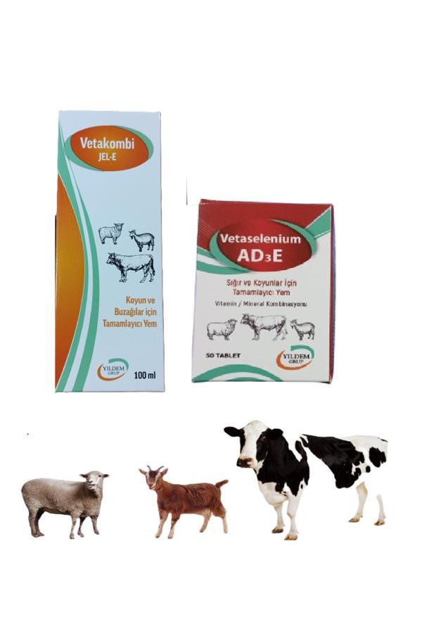 Yıldem Koyun Ve Buzağılar İçin Vetakombi E Jel 100 Ml Ve Vetaselenium Ad3E 50 Tablet - Image 1