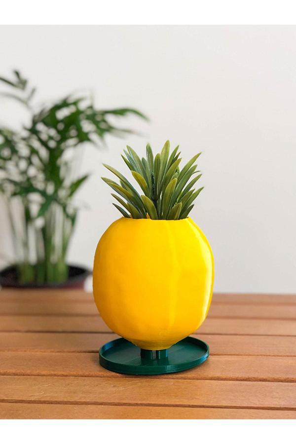 Alvina Atölye Limon Sukulent Saksısı - 8Cm - Bioplastik - Image 1