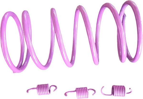 Speed Up Honda Dio 125CC Motosiklet Arka Varyatör Performans Yayı + Balata Yayı - Image 1