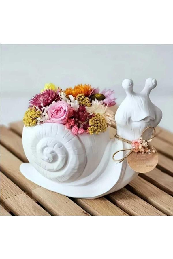 Yaratıcı Sanatlar Atölyesi Dekoratif Salyangoz Tasarım Saksı - Image 1