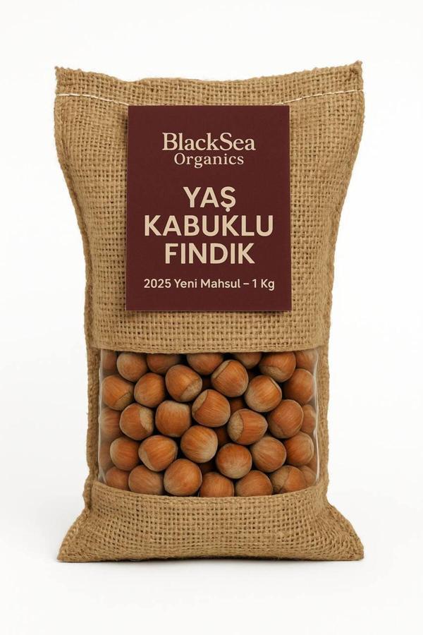 Blacksea Organics 2025 Yeni Mahsul Kabuklu Fındık 1 Kg - Image 1