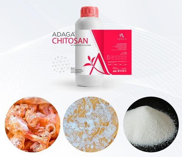 Kitosan (CHİTOSAN) 1 Litre - %1 Çözünmüş Sıvı Form - Image 1