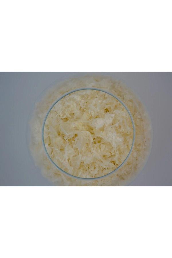 Kitosan (Chitosan) 1 Kg - %80-85 Deaselitasyon Toz Form - Image 1