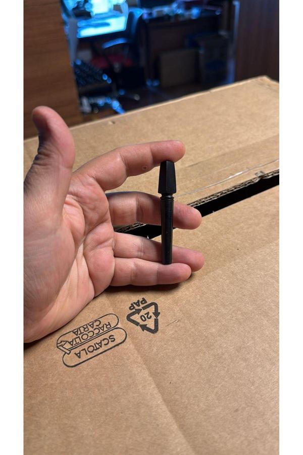 Karin Melody 80 Adet Noktalı Profesyonel Abanoz Kanun Burgu Seti (80 Adet) - Image 1