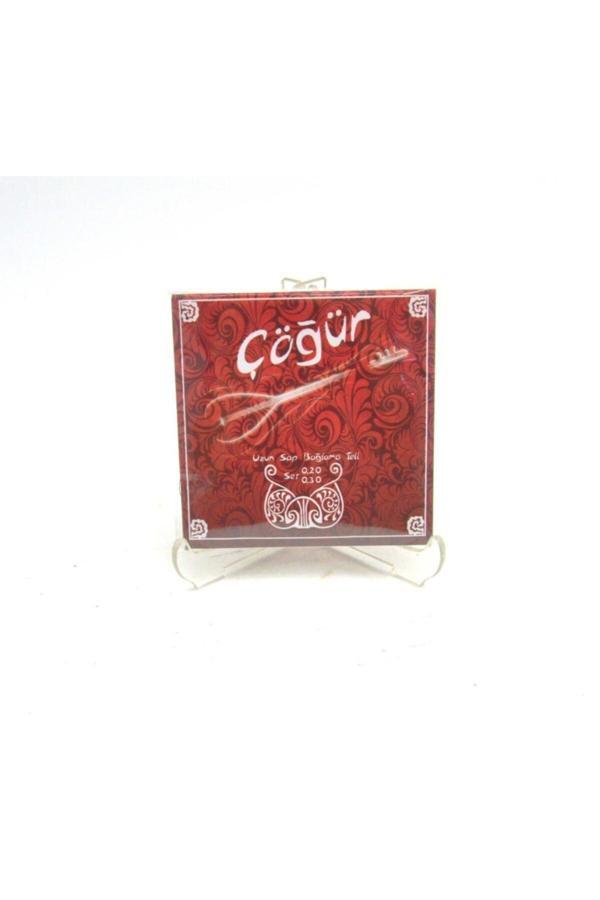 Cogur Çöğür 004/Cst Uzun Sap Bağlama Teli (0.20) - Uzun Sap Saz Teli - Image 1