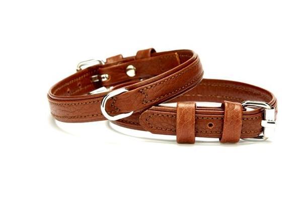Doggie Flotter Deri Köpek Boyun Tasması 1,5-20x25 cm Kahverengi - Image 1