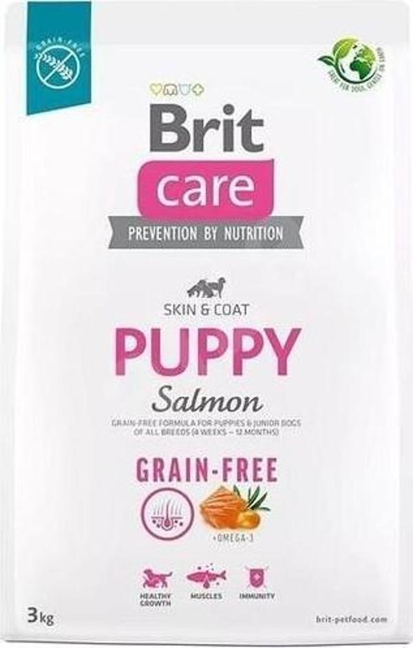 Brit Care Tüm Irklar için Somonlu ve Patatesli Tahılsız Yavru Köpek Maması 3 Kg - Image 1