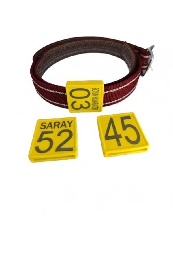 Küçükbaş Tokalı Hayvan Boyun Kemeri ve Numarası Lazer Baskılı - Image 1