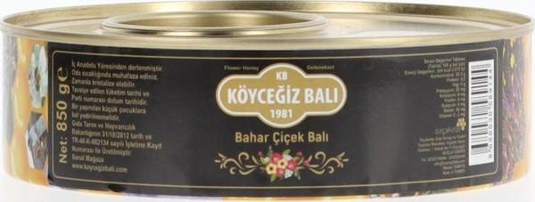 Köyceğiz Balı Bahar Çiçek Balı 850 G Teneke - Image 1
