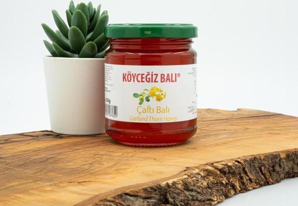 Köyceğiz Balı Çaltı Balı 250 G Cam Kavanoz - Image 1