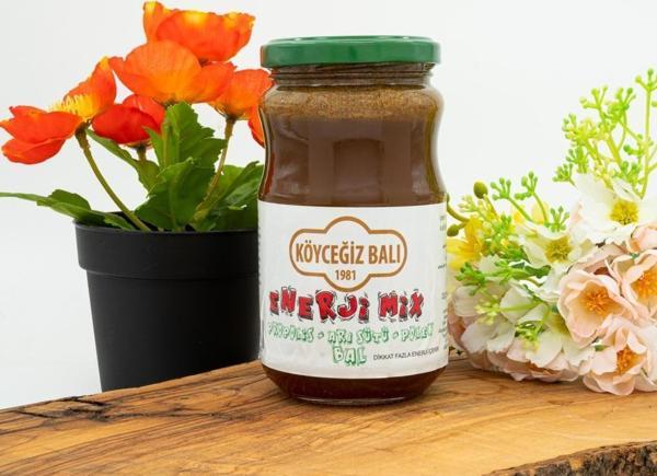 Köyceğiz Balı Enerji Mix 450 G Cam Kavanoz - Image 1