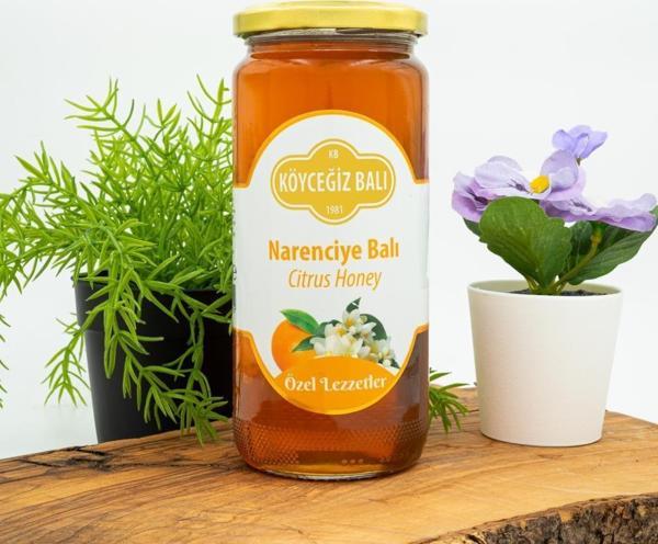 Köyceğiz Balı Narenciye Balı 660 G Cam Kavanoz - Image 1