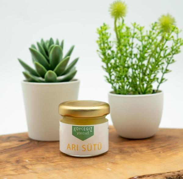 Kb Köyceğiz Balı Arı Sütü 25 G Cam Kavanoz - Image 1