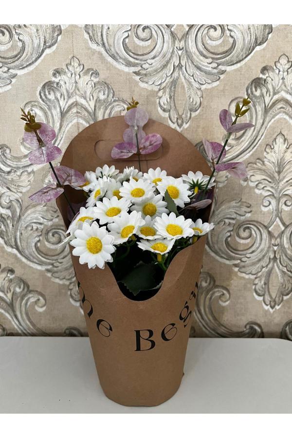 Kayzen Saksıda Papatya Buketi - Image 1