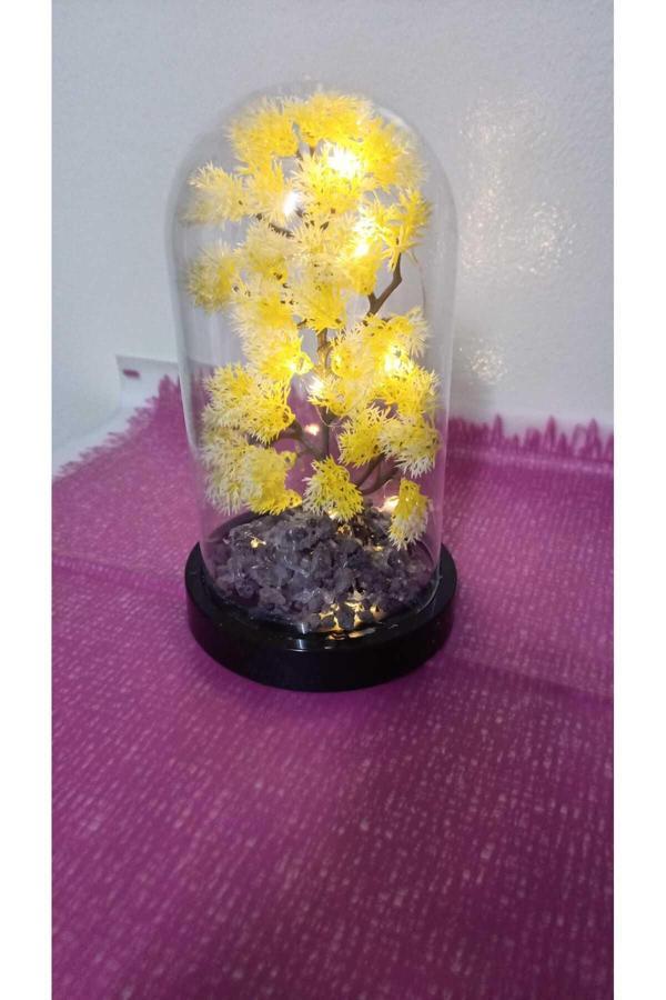 Kayzen Yapauy - Image 1