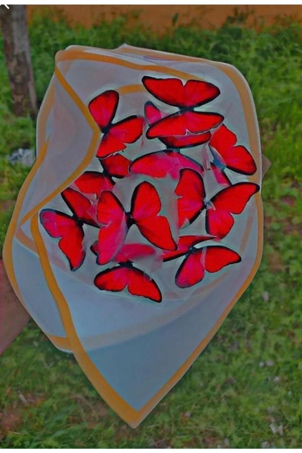 Redblue Led Işıklı Kırmızı Kelebek Çiçek Buketi - Image 1