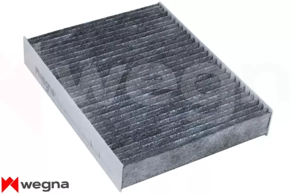 POLEN FILTRESI BMW F20 F30 F22 F32 F33 F34 F36 KARBONLU 64119237555 - Image 1