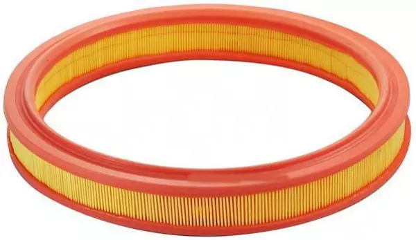 HAVA FİLTRESİ ESCORT 1985-1995 - FIESTA 3 1989-1995 1.4-1.6 89SF9601AA 6162294 - Image 1