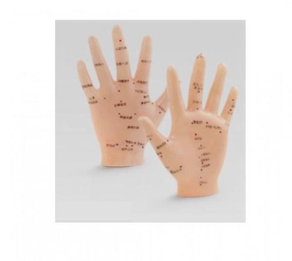 El Maketi Akupunktur Noktaları 835 - Image 1