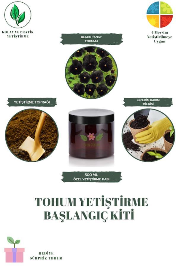 Tohum Dünyam Black Pansy Tohumu Yetiştirme Kiti - Image 1
