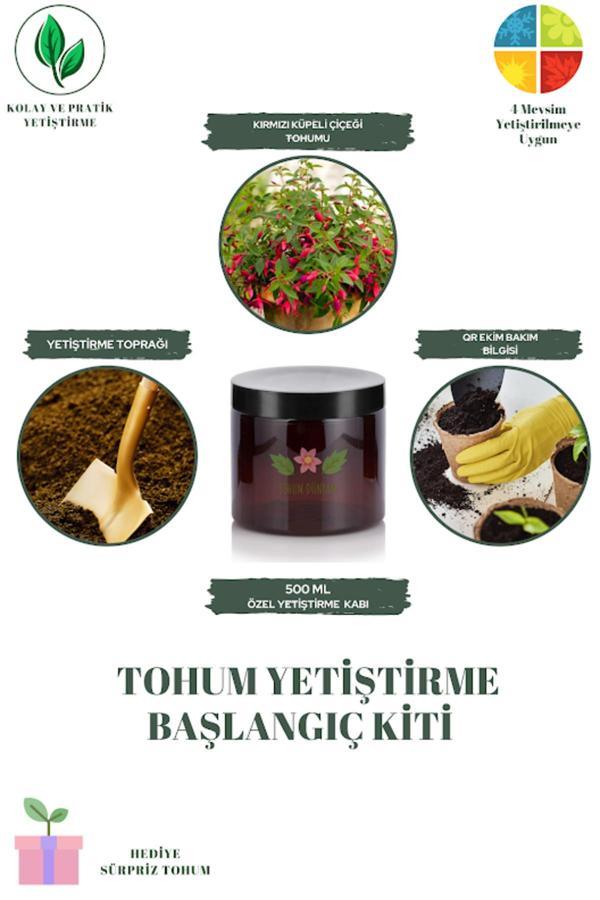 Tohum Dünyam Kırmızı Küpeli Çiçeği Tohumu Yetiştirme Kiti - Image 1