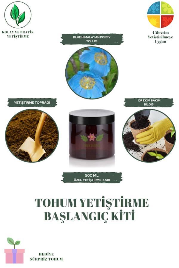 Tohum Dünyam Blue Himalayan Poppy Tohum Yetiştirme Kiti - Image 1