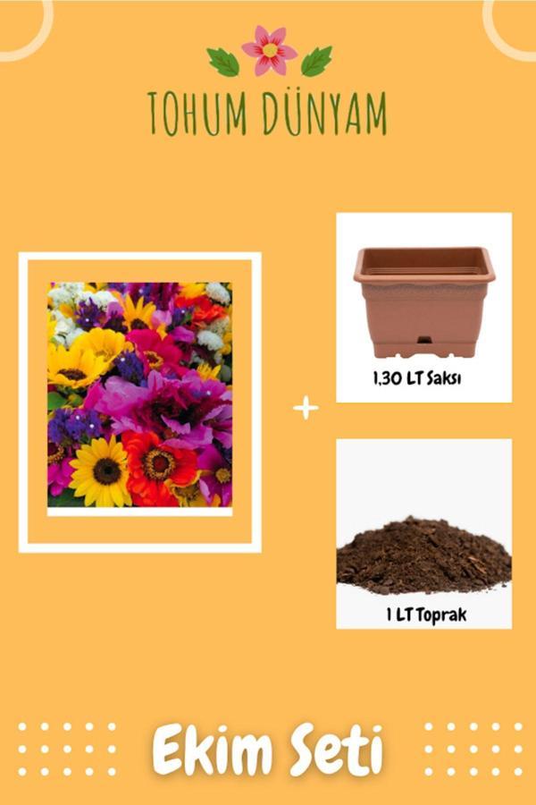 Ayc Botanik Karışık Çiçek Tohumu Ekim Seti - Image 1