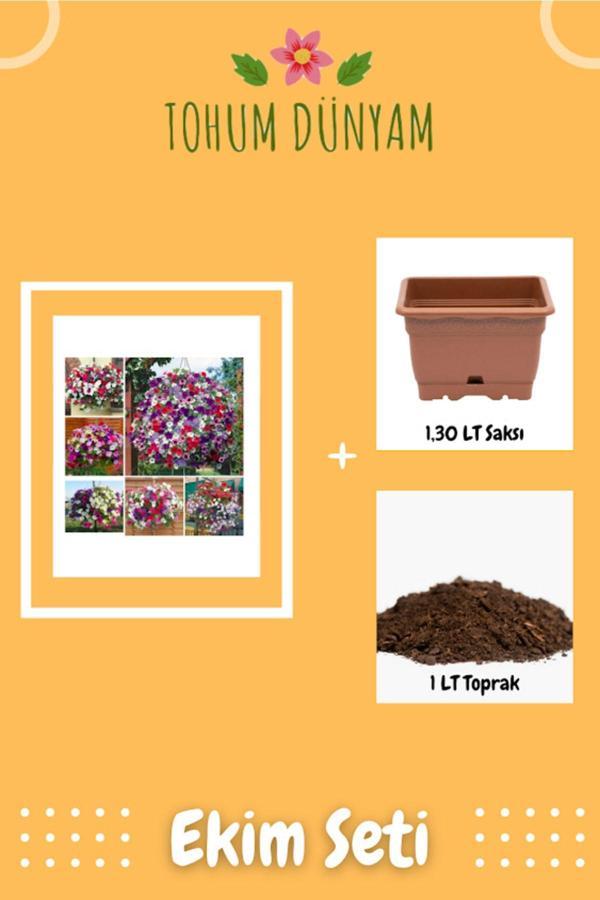 Ayc Botanik Karışık Petunya Çiçeği Tohumu Ekim Seti - Image 1