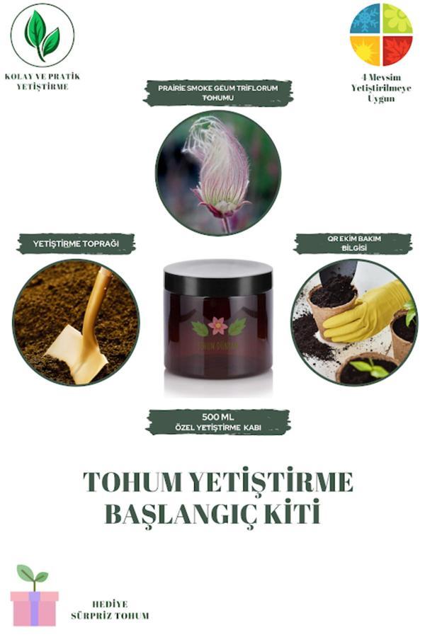 Tohum Dünyam Prairie Smoke Geum Triflorum Tohumu Yetiştirme Kiti - Image 1