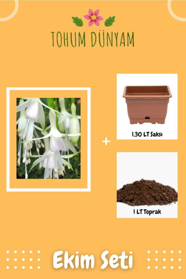 Ayc Botanik Nadir Beyaz Küpe Çiçeği Tohumu Ekim Seti - Image 1