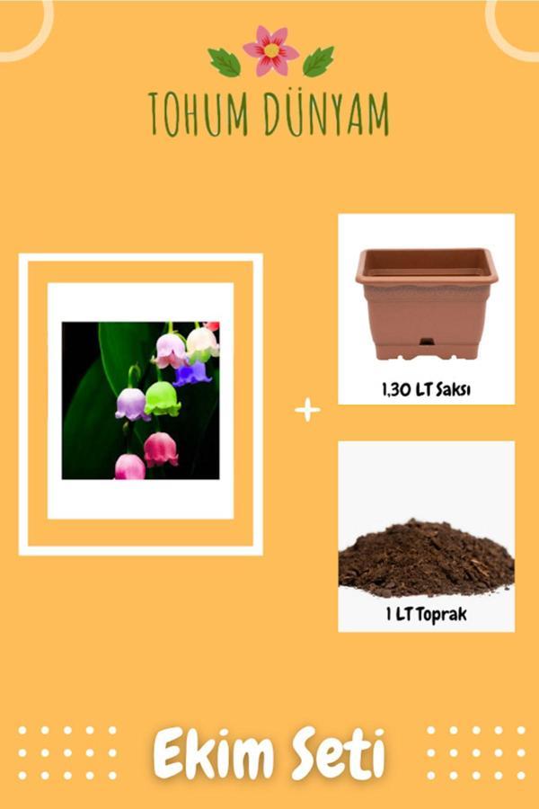 Ayc Botanik Nadir Çan Orkide Tohumu Ekim Seti - Image 1