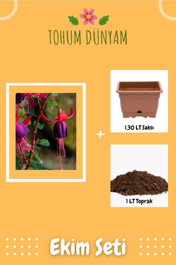 Ayc Botanik Küpe Çiçeği (Doğal Ev Bahçe İçin İdeal) Tohumu Ekim Seti - Image 1