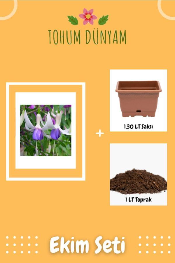 Ayc Botanik Mor Küpeli Çiçeği Tohumu Ekim Seti - Image 1