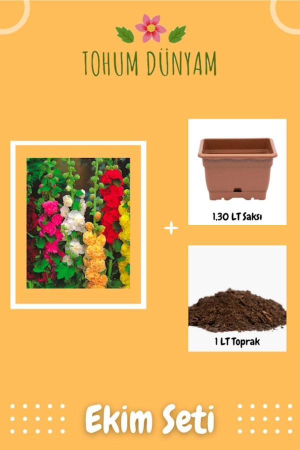 Ayc Botanik Hatim Çiçeği (Alcea Rosea) Çiçek Tohumu Ekim Seti - Image 1